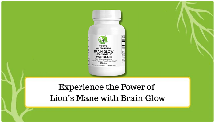 Lion’s Mane Mushroom for Brain Health: Inside the Functional Mushroom Behind Brain Glow