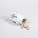 Immuno Boost Skin Repair - Organic Reishi Mushrooms
